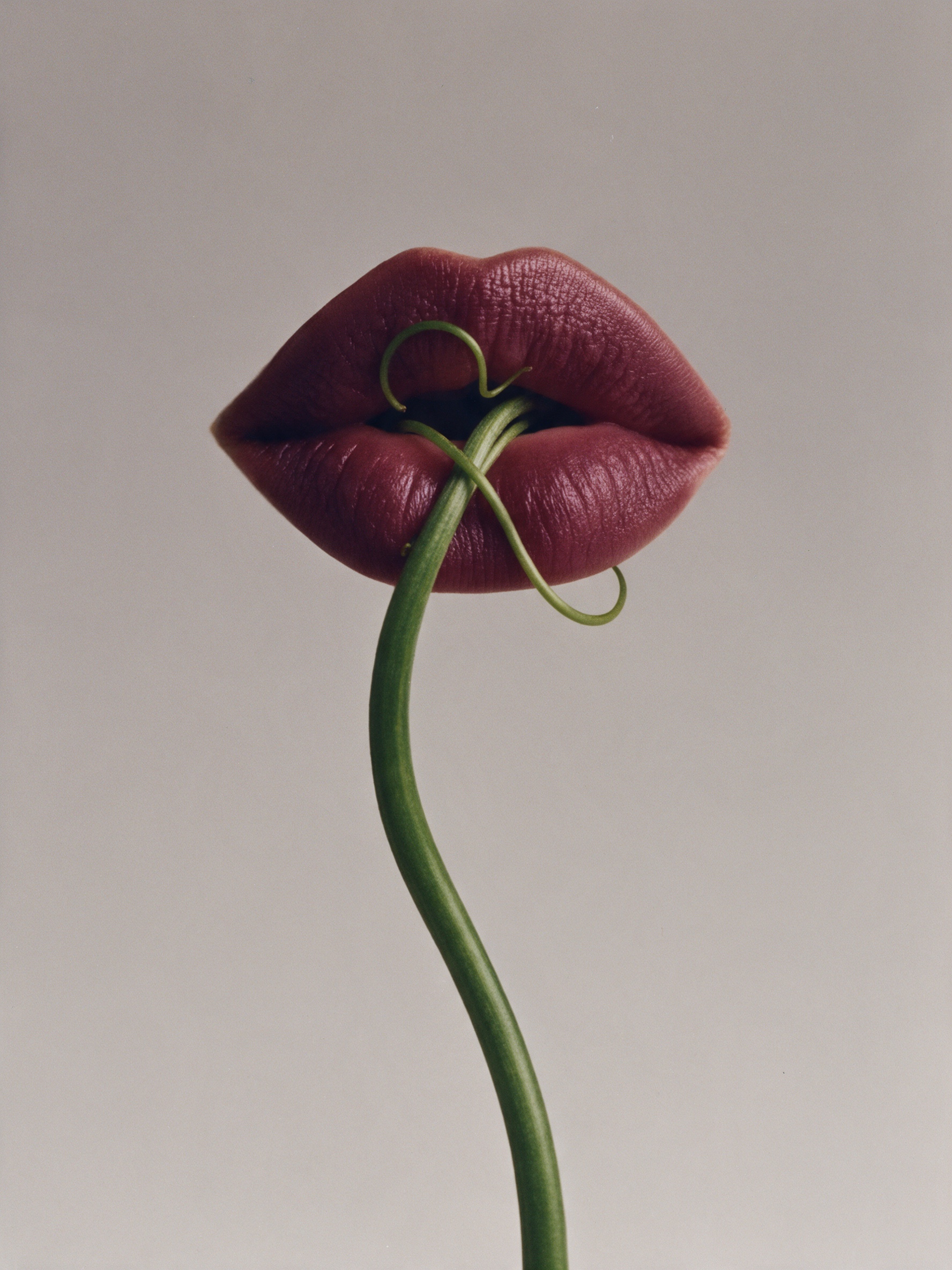 Red lips holding the stem of a flower