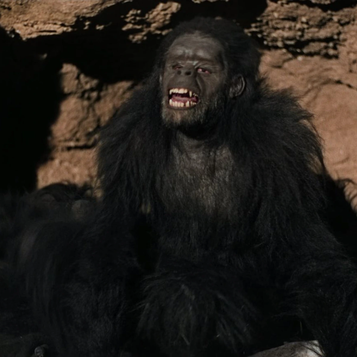 2001: an ape standing upright among the others at dawn
